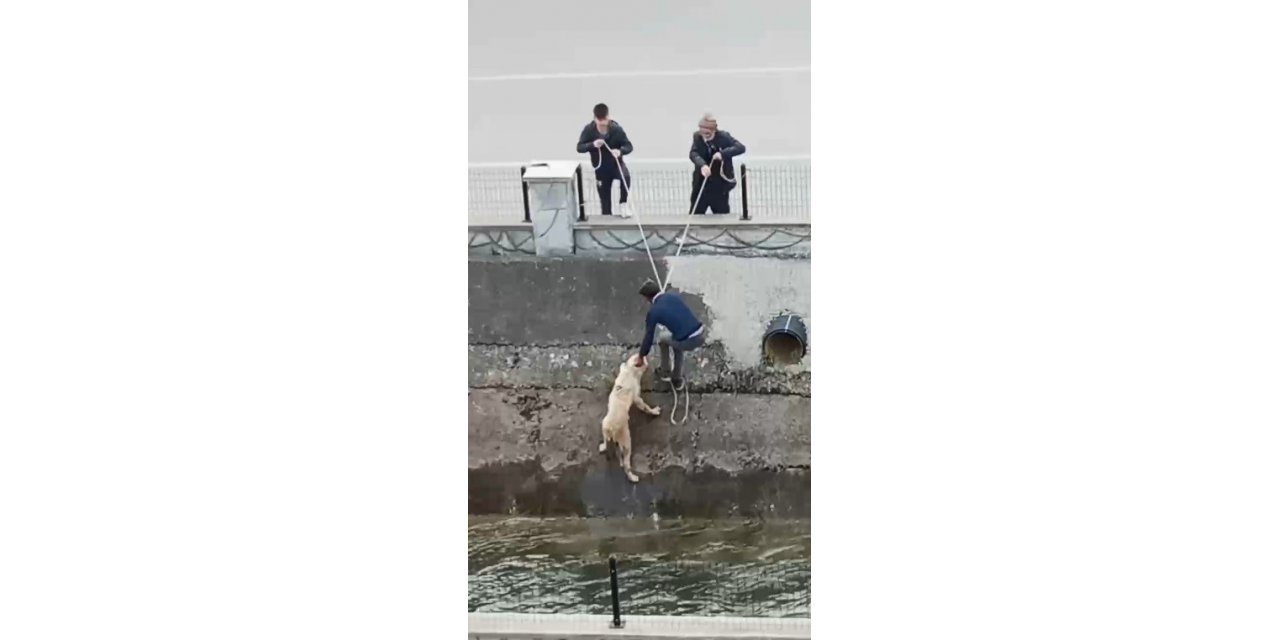 Su kanalına düşen köpeği itfaiye erleri gibi kurtardılar