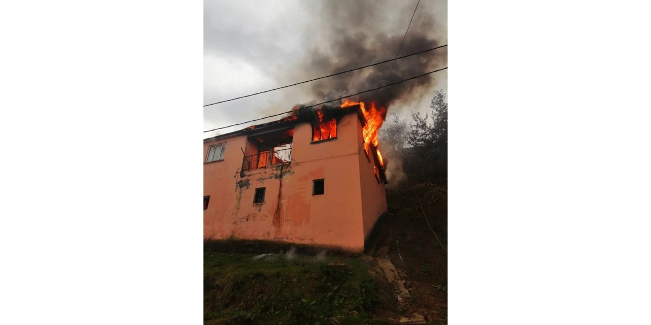 Giresun’un Eynesil ilçesinde yangın