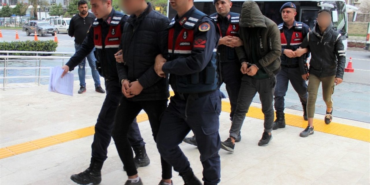 Alanya’da avokado hırsızları jandarmaya takıldı