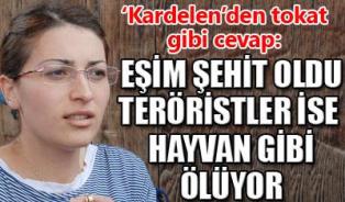 'Kardelen'den tokat gibi cevap