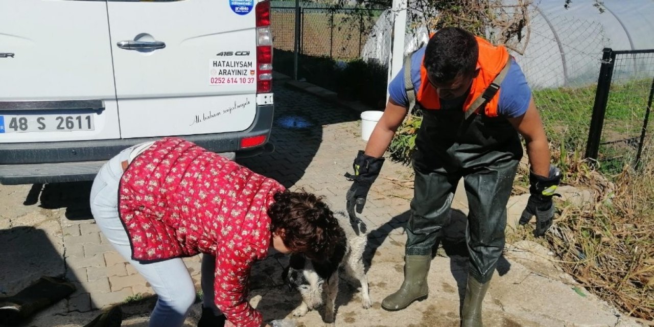 Su giderinde mahsur kalan köpeği itfaiye kurtardı