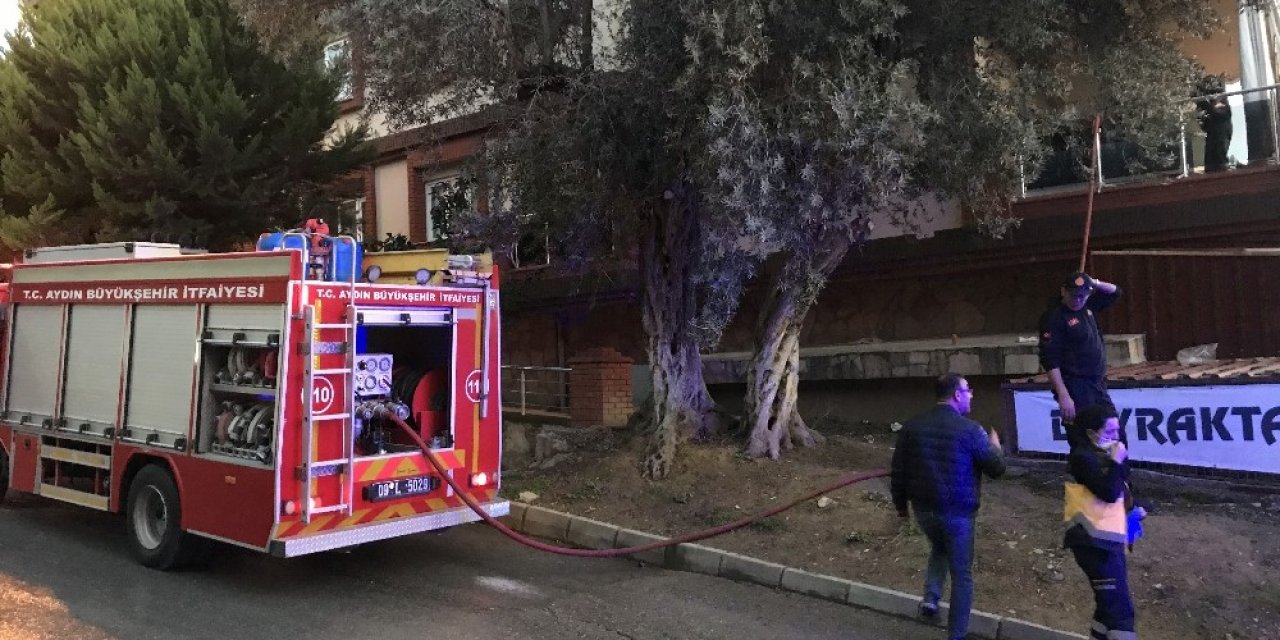 Yangında kediler telef olmadan kurtuldu