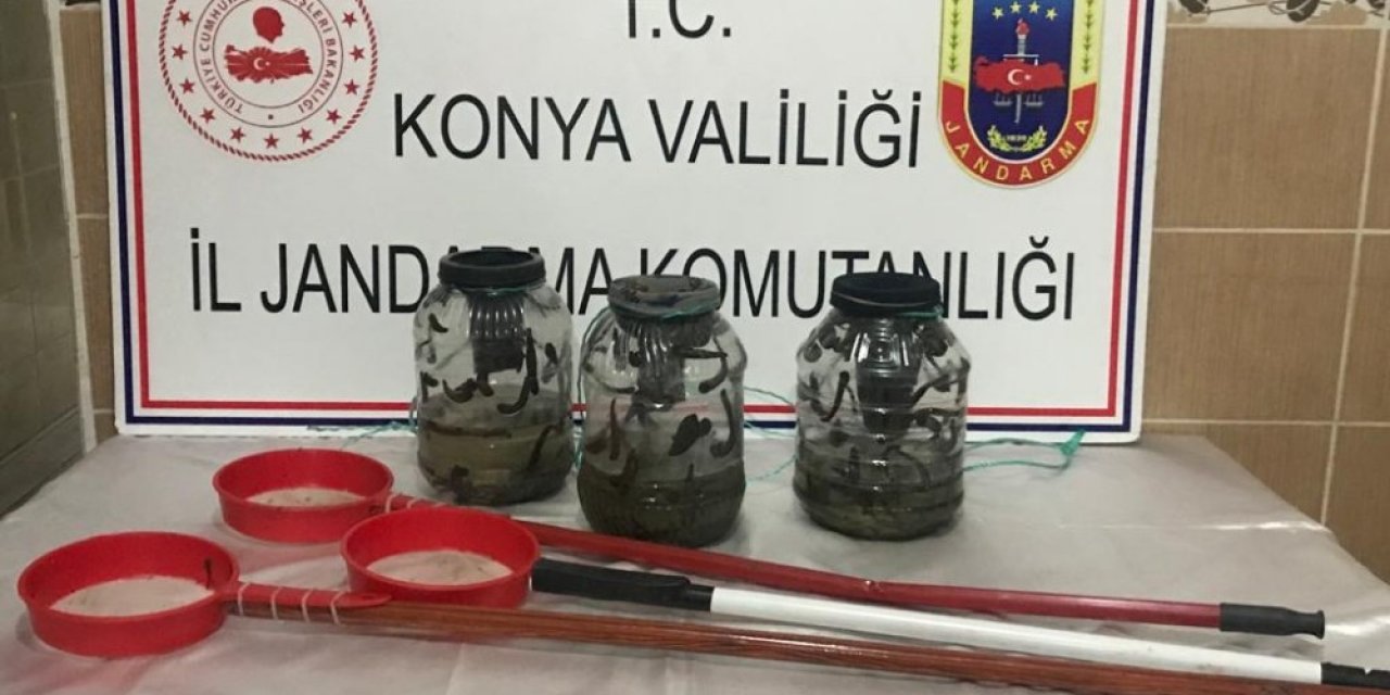 Konya'da kaçak sülük avcılarına 221 bin lira ceza kesildi