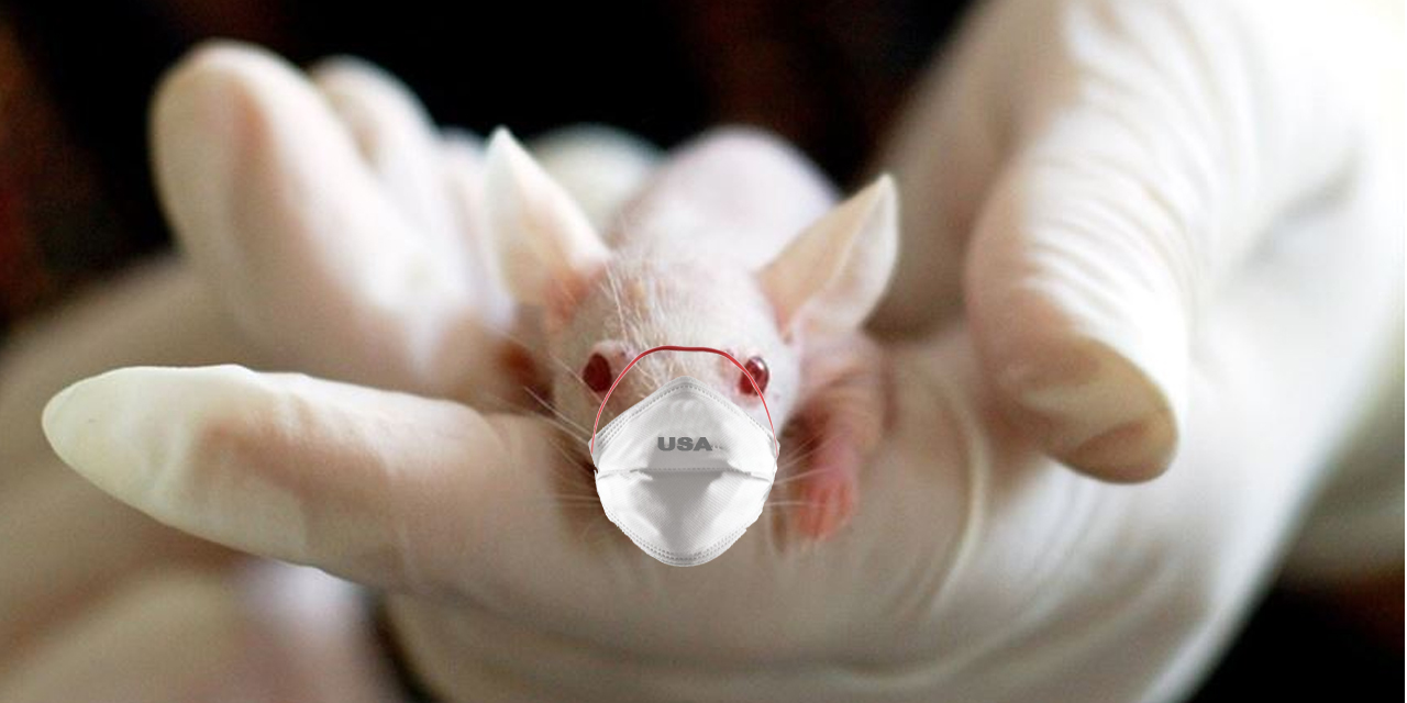 ABD ordusundan 'koronavirüs aşısı farelerde denenmeye başlandı' açıklaması