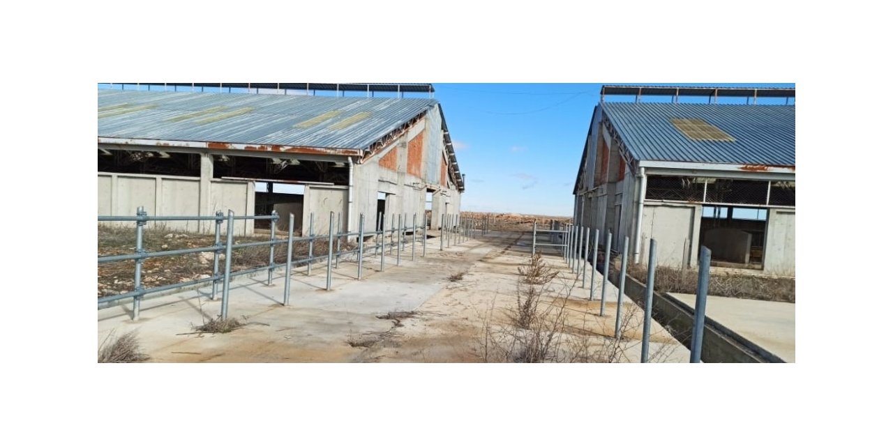 Süt sığırcılığı tesisinden hırsızlığa 3 tutuklama