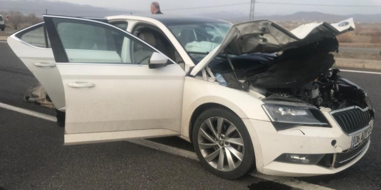 Bingöl’de otomobilin çarptığı eşek telef oldu