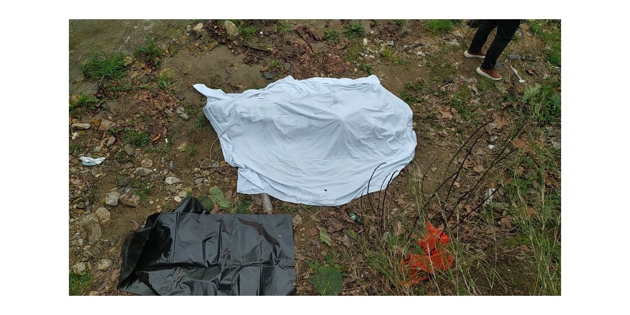 Bursa’da dere kenarında erkek cesedi bulundu