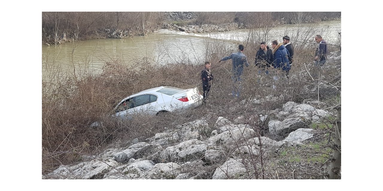 Otomobili sulara gömülmekten çalılıklar kurtardı