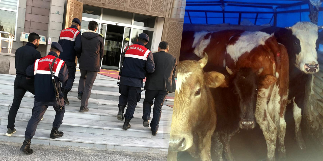 Konya'da çaldılar, jandarma Şanlıurfa'da yakaladı