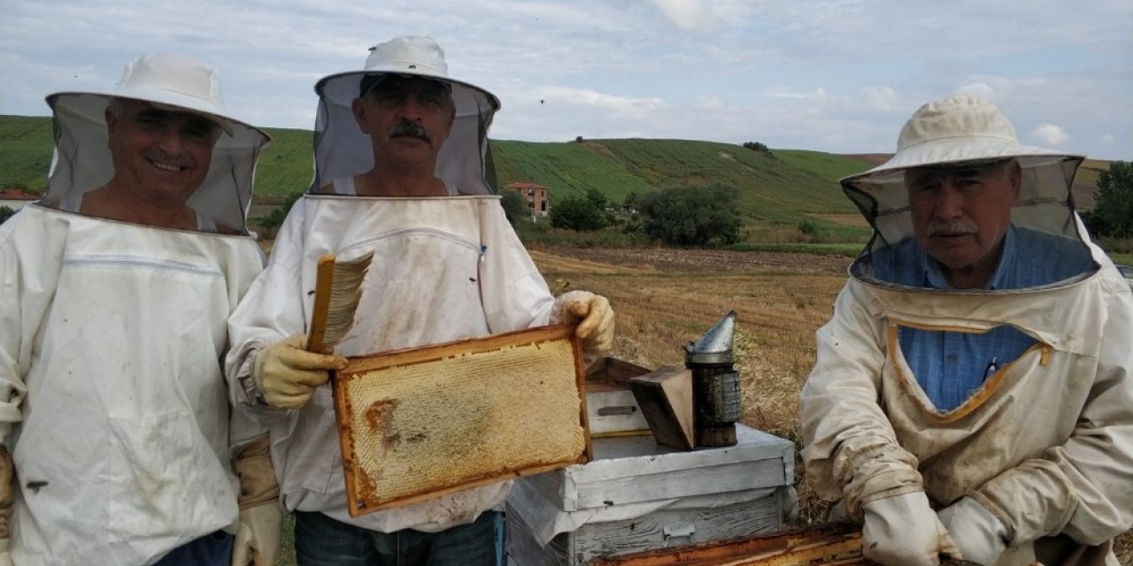 Kırklareli’de arıcılara 630 bin TL  ödenecek