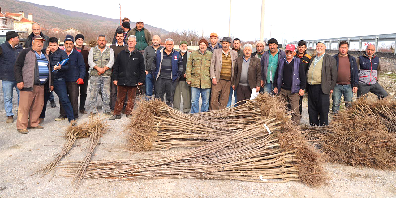 Çiftçiye fidan ve fide desteği   