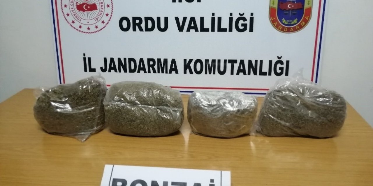 Ordu’da uyuşturucu operasyonu