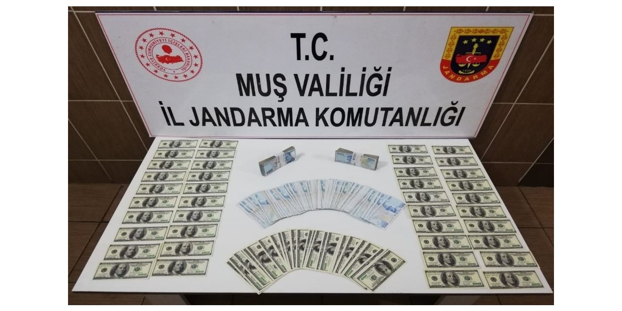 Jandarmadan kalpazanlara operasyon