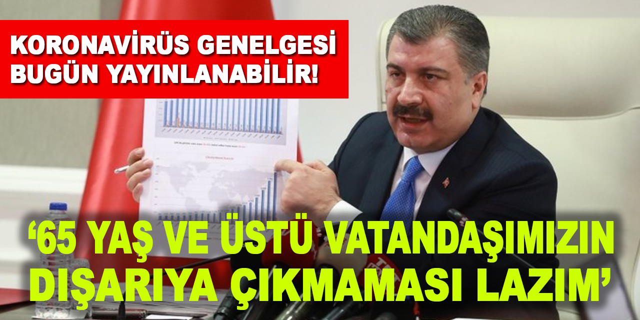 Sağlık Bakanı uyardı! 65 yaş ve üstü vatandaşımızın dışarı çıkmaması lazım