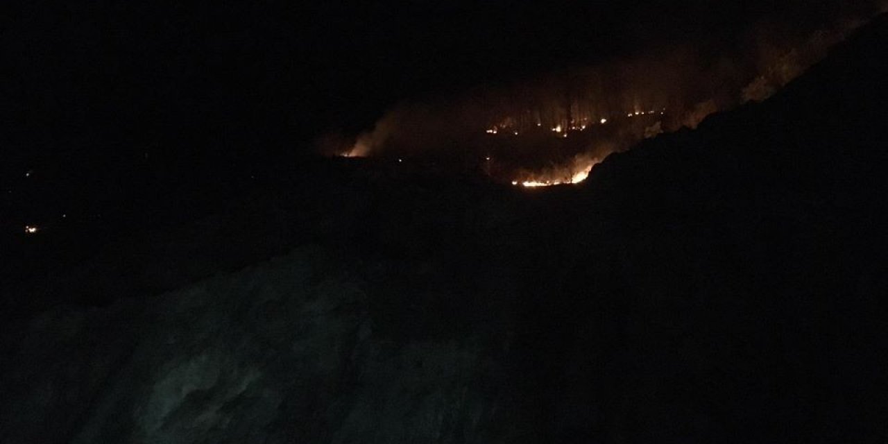 Ordu’da orman yangını