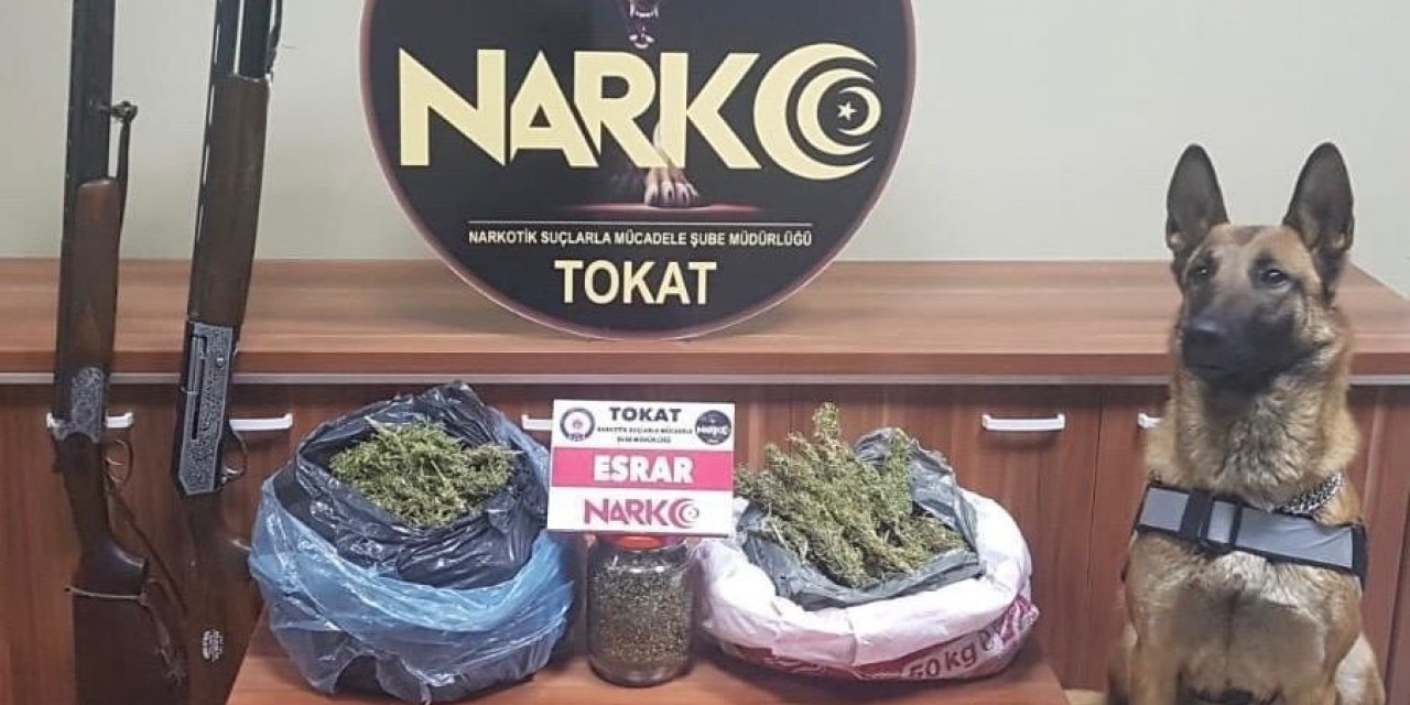 Tokat ve Amasya’da torbacı operasyonu; 5 tutuklama