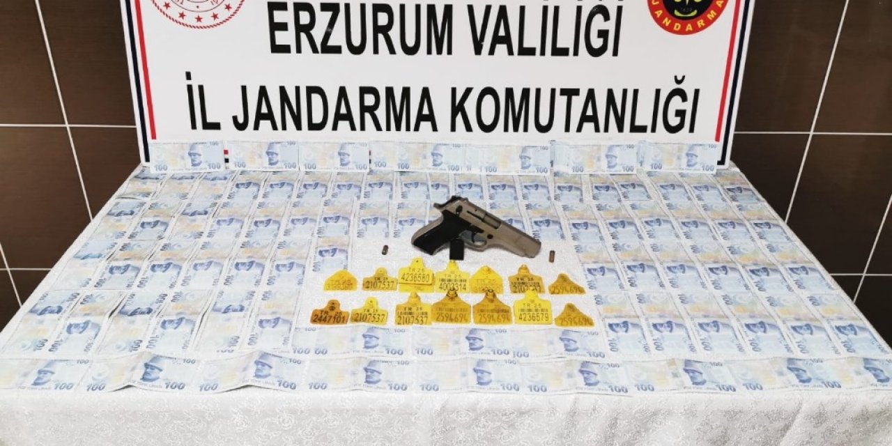 Jandarmadan sahte para operasyonu: 3 gözaltı