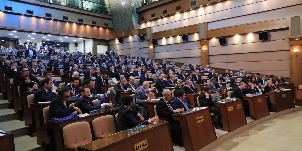 Adalar'daki atlar sahiplendirilecek