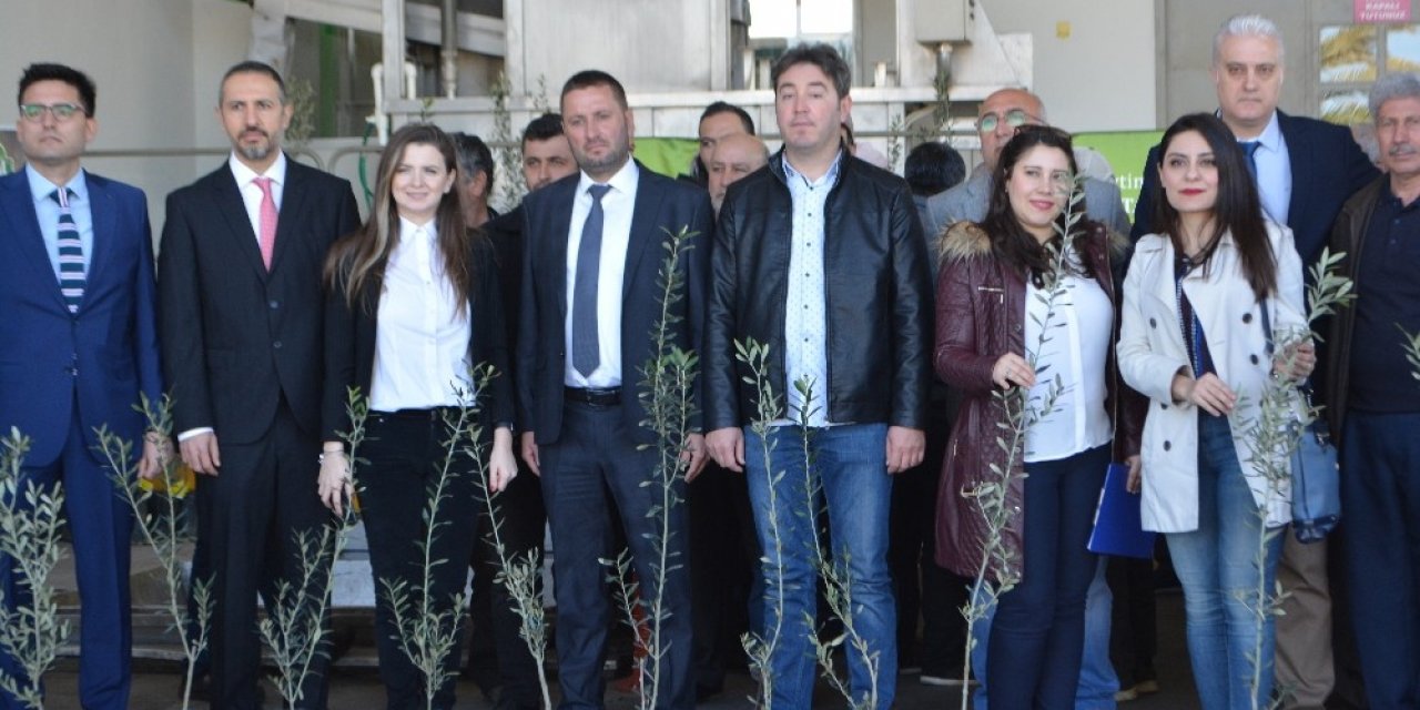 Ayvalıklı zeytin üreticisine 15 bin fidan desteği
