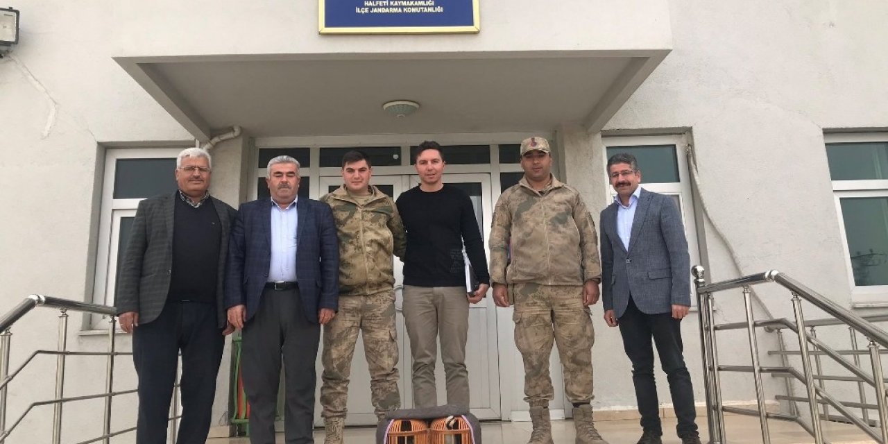 Şanlıurfa’da kaçak avcılara suçüstü