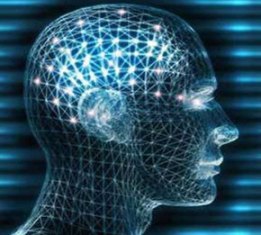 Beyninizin şekli, kişiliğinizi belirliyor