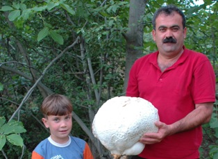 Piknikte 6.5 kilo ağırlığında mantar buldu