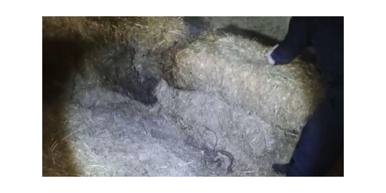 Çaldıkları kabloları samanlıkta sakladılar