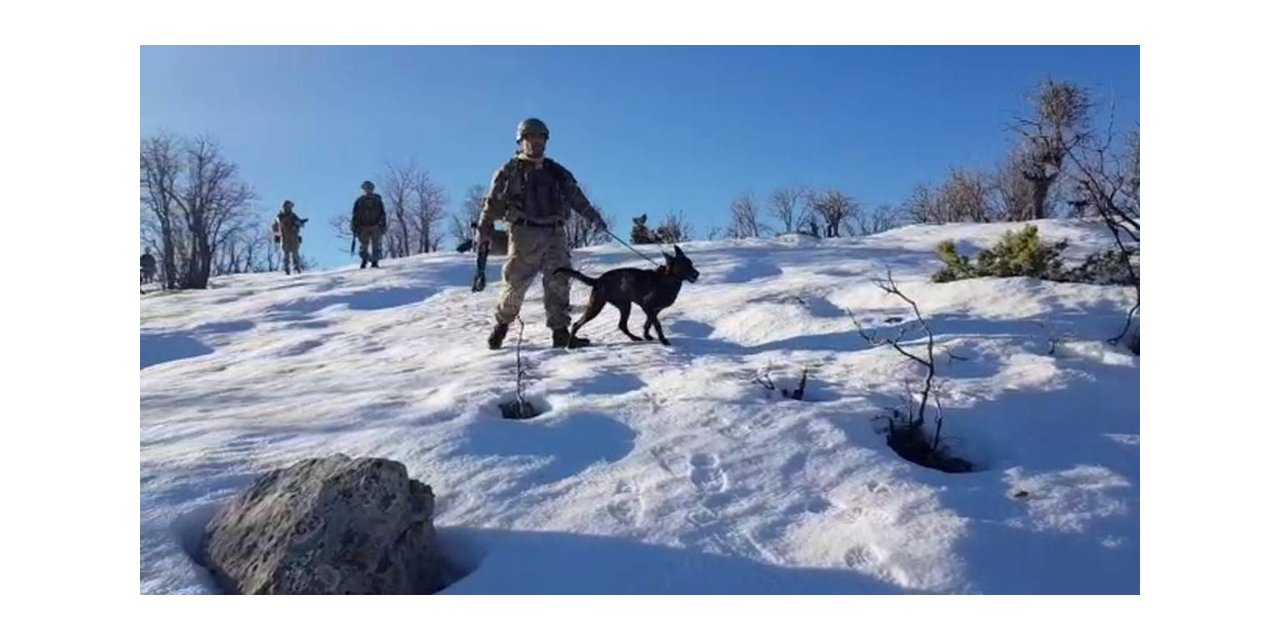 Jandarmanın ’hassas burunlu’ yardımcıları görev başında