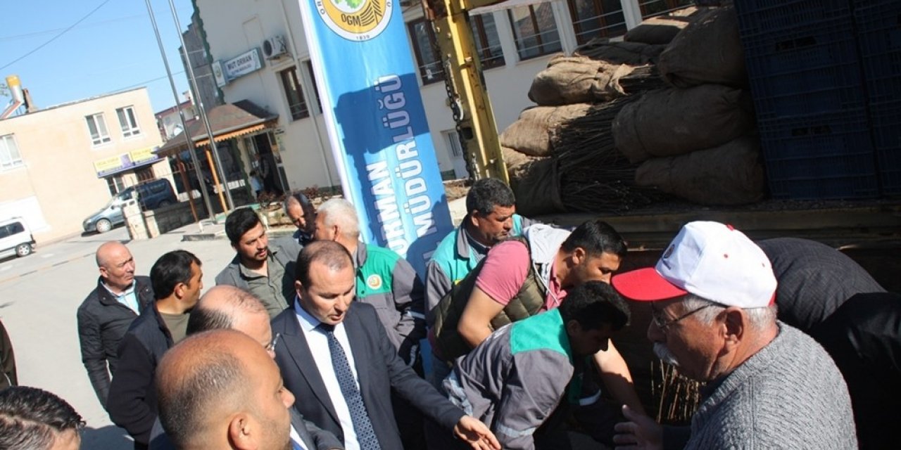 Mut’ta 7 bin adet adaçayı fidesi dağıtıldı