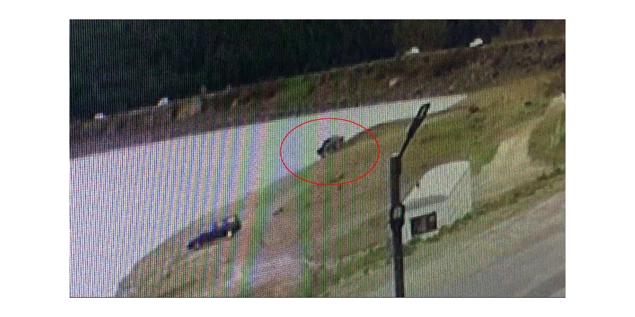 Manevra yapan araç göle uçtu
