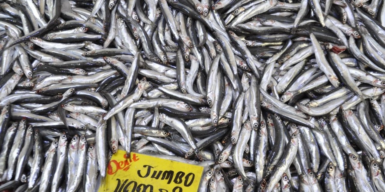 Afyonkarahisar’da 10 liraya satılan hamsi balığına yoğun talep