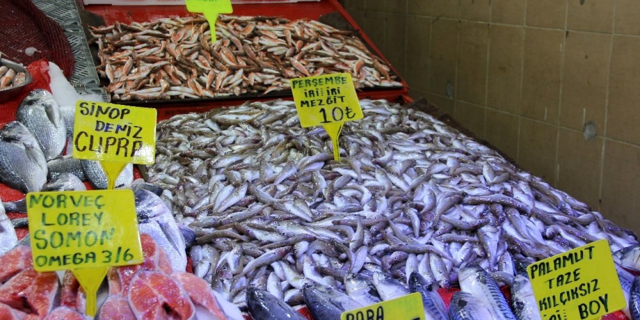 Sezonun son balıkları ‘10 lira’