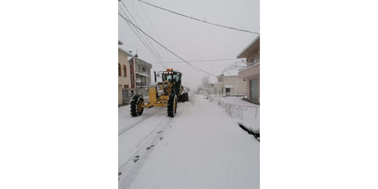 Ordu ve Giresun'da kar etkili oldu