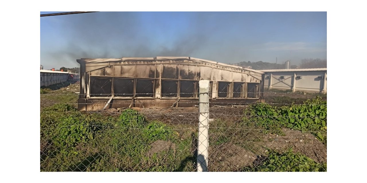 Elektrik kontağı tavukhaneyi küle çevirdi