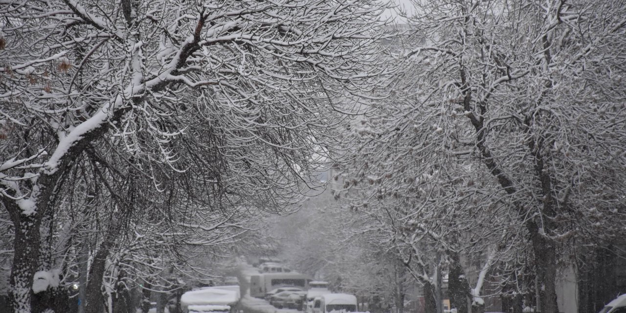 Kar nedeniyle kapanan yollar ulaşıma açıldı