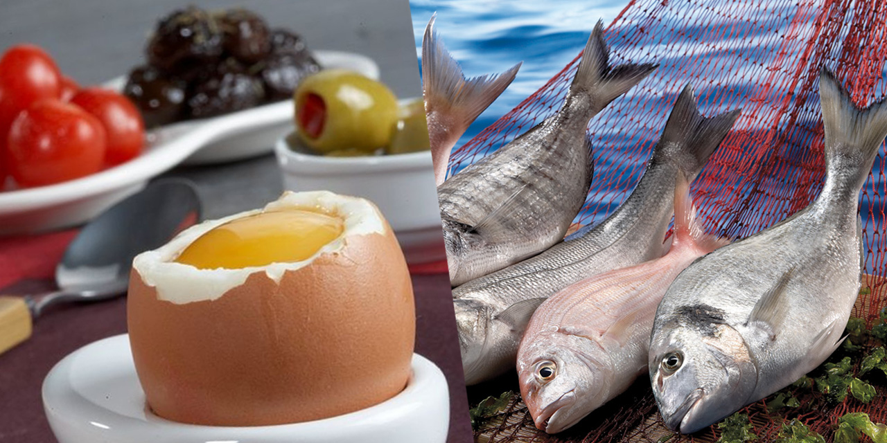 Korona virüse balık ve yumurta kalkanı