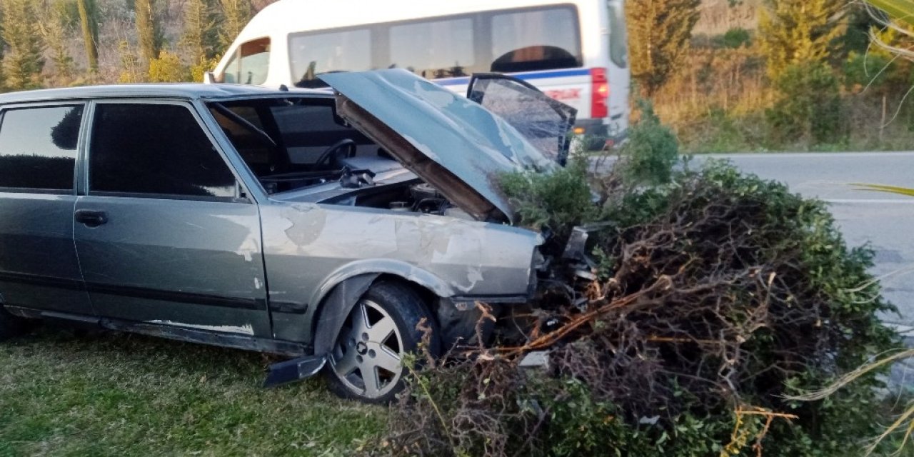 Otomobil refüjdeki ağaçları yerinden söktü