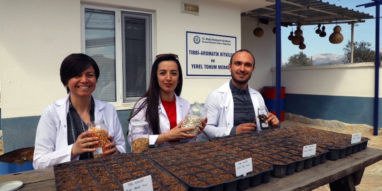 Okulların yerel tohumu Muğla Büyükşehirden