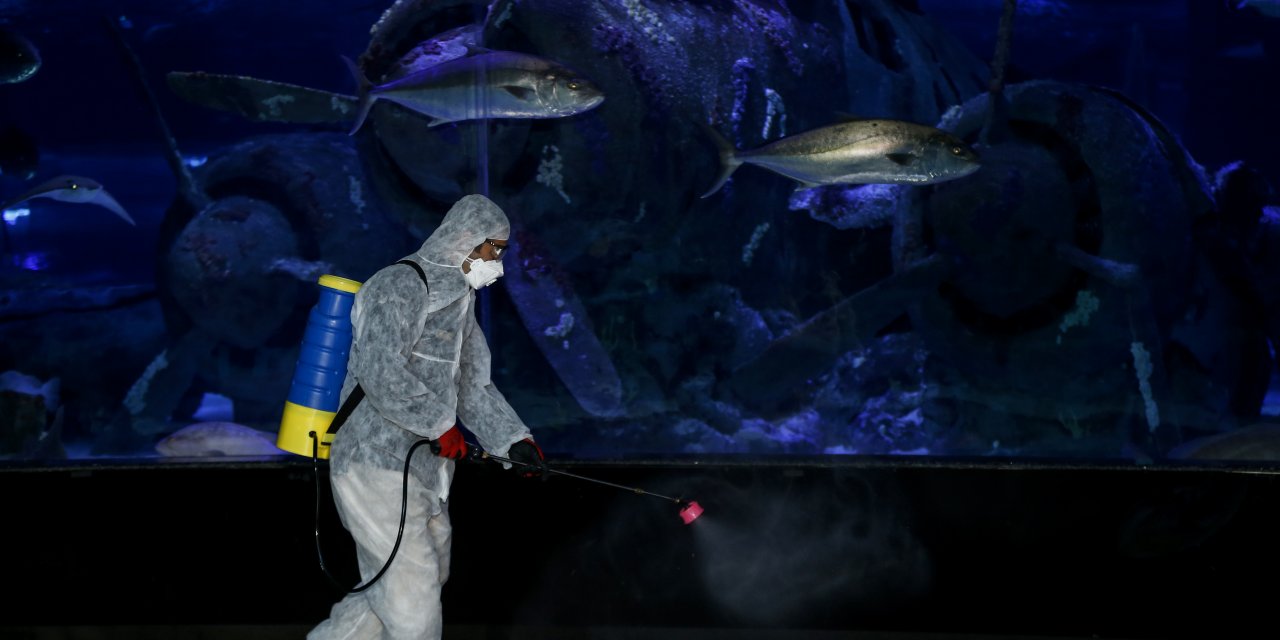Antalya Akvaryum'da dezenfekte işlemi yapıldı