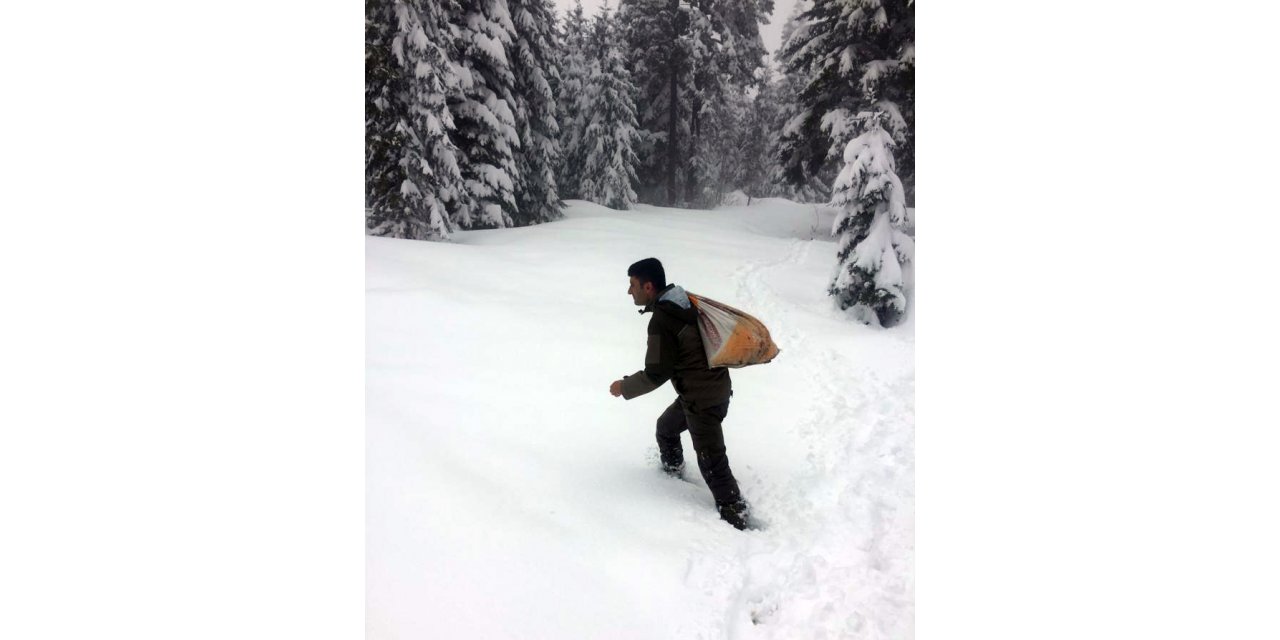 Giresun'da kar yağışının etkili olduğu bölgelere yaban hayvanları için yem bırakıldı