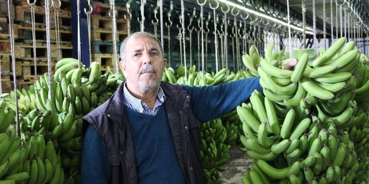 Okullarda muz tüketimine üreticilerden tam destek