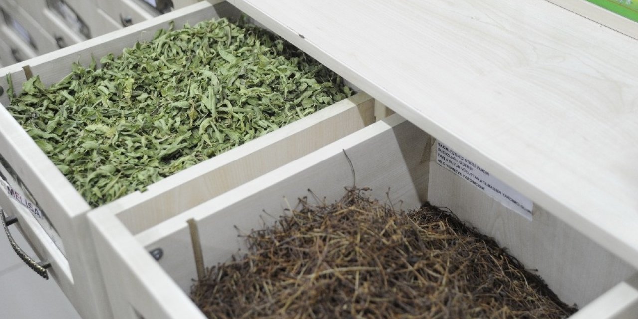 Koronavirüs doğal ürünlere ilgiyi artırdı