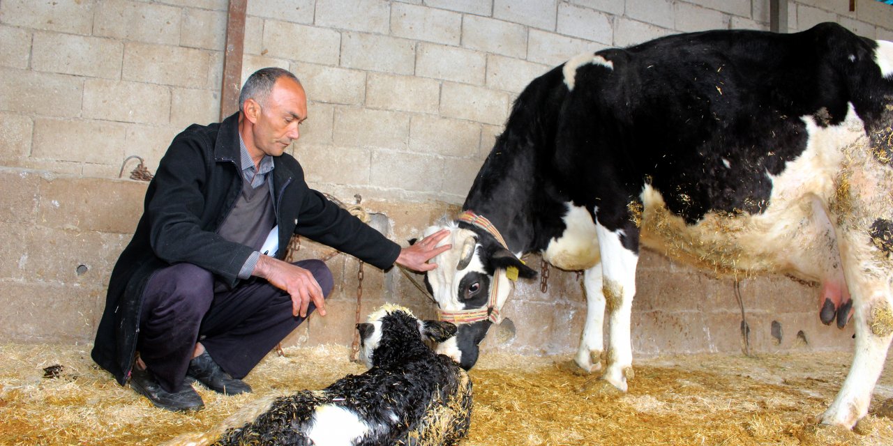 Hatay'da yıldırım düşmesi sonucu 1 kişi yaralandı