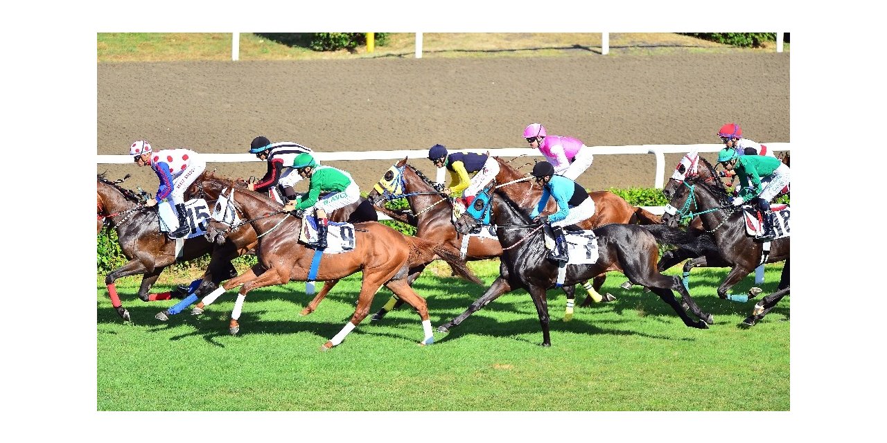 At yarışları ertelendi