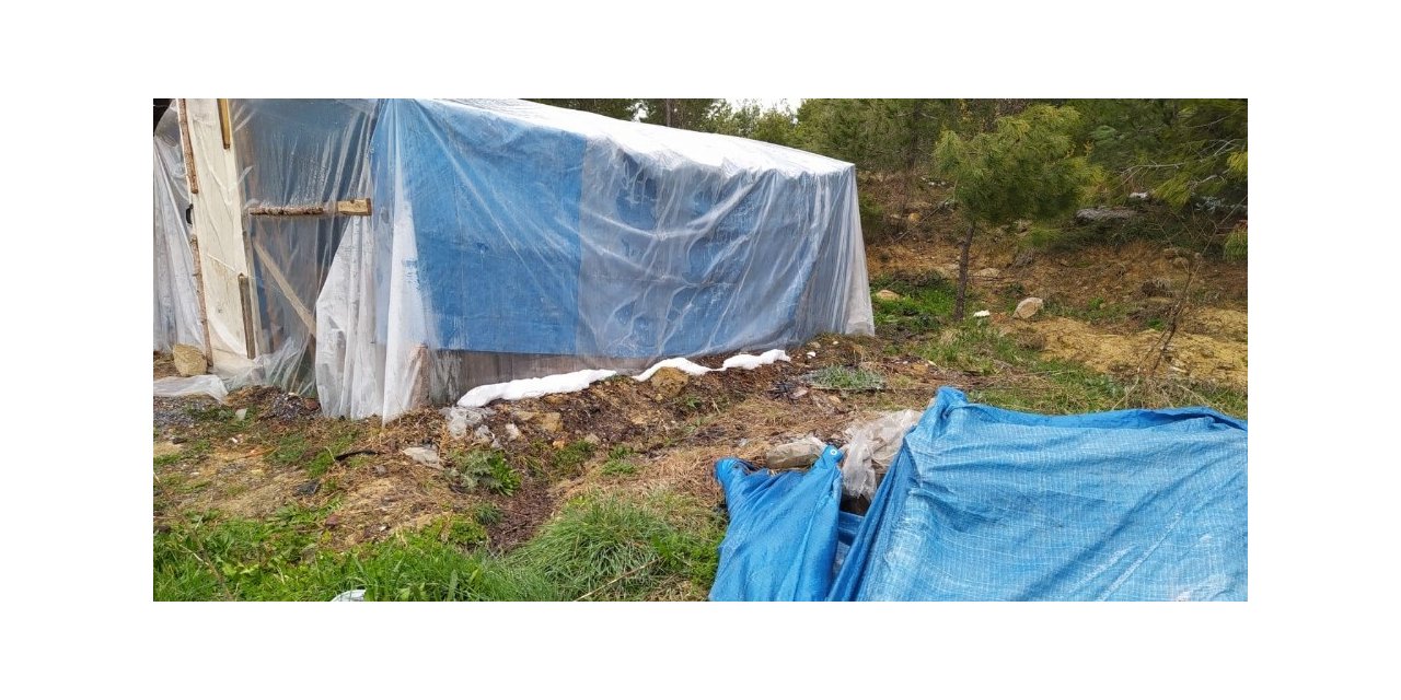 Çadırda mangal kömüründen zehirlenerek öldü