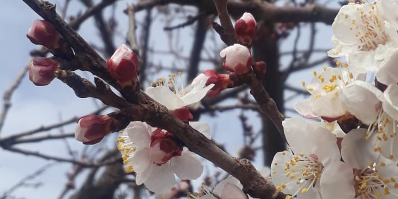 Uyarılar devam ediyor! İç Anadolu Bölgesi'nde 4 il tehdit altında