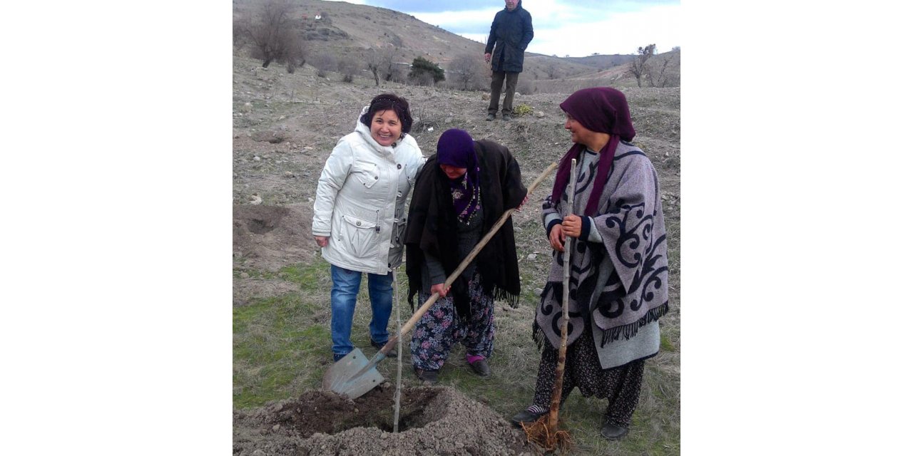 Güdül'de ipek böcekçiliği için dut fidanı dikildi