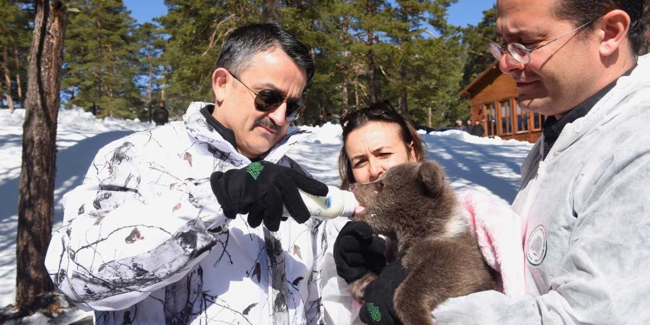 Bakan Pakdemirli ayı yavrusunu biberonla besledi: