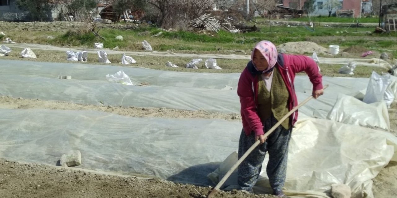 Tütüncülerin telaşı başladı