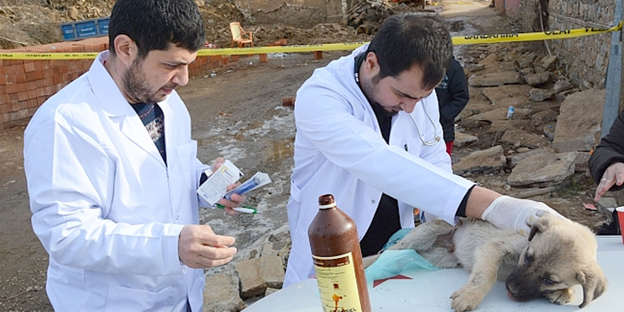 Veterinerler "sokağa çıkma yasağı" için istisna istiyor